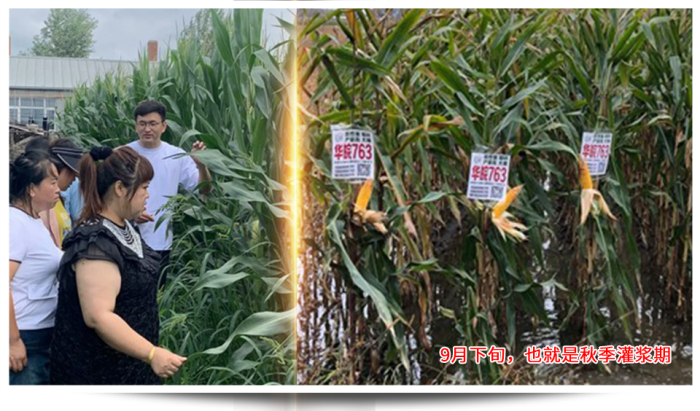 1747638495249203.png 圖片38.png